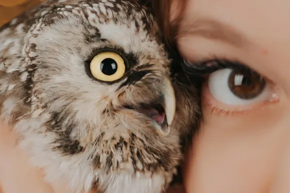 PlayFortuna Kazino Atbalsts